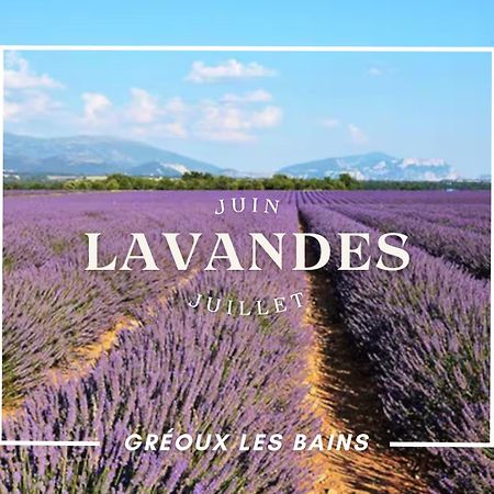 Oasis Tranquille - L'Evasion Au Verdon Greoux-les-Bains Ngoại thất bức ảnh